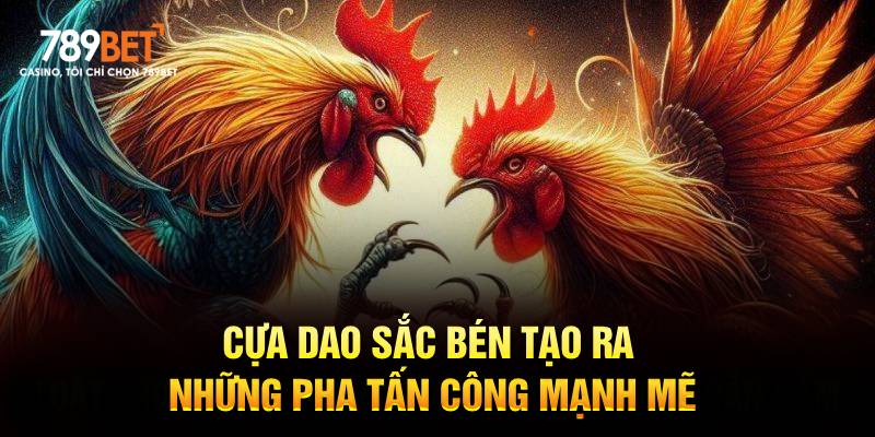 Lưỡi dao sắc bén tạo ra những cú tấn công mạnh