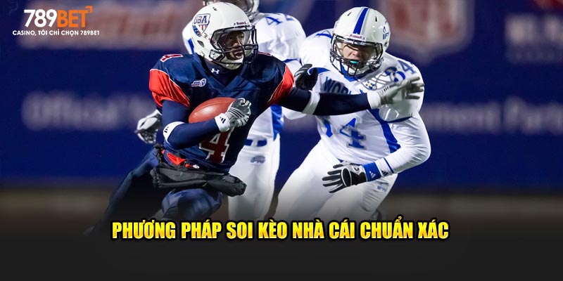 Cá Cược Bóng Bầu Dục Mỹ 789bet