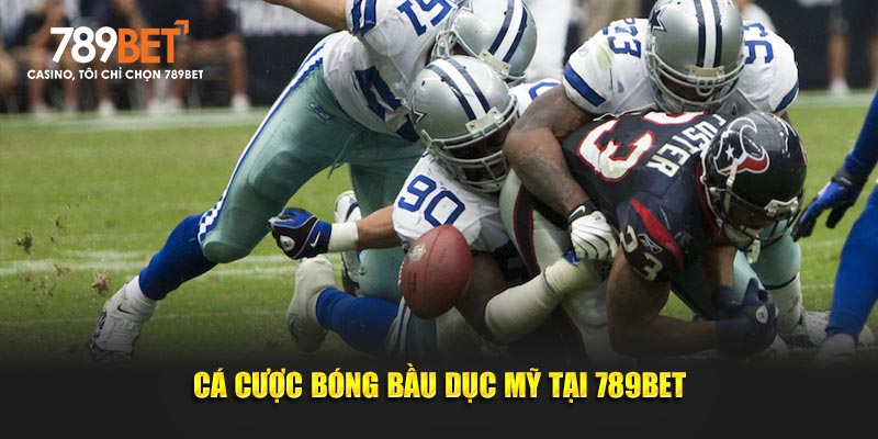 Cá cược bóng bầu dục Mỹ tại 789bet