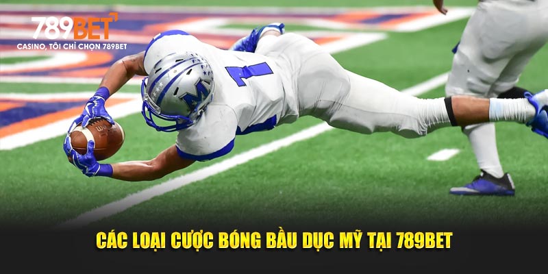 Các loại cược bóng bầu dục Mỹ tại 789bet