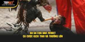 Đá Gà Cựa Dao 789BET