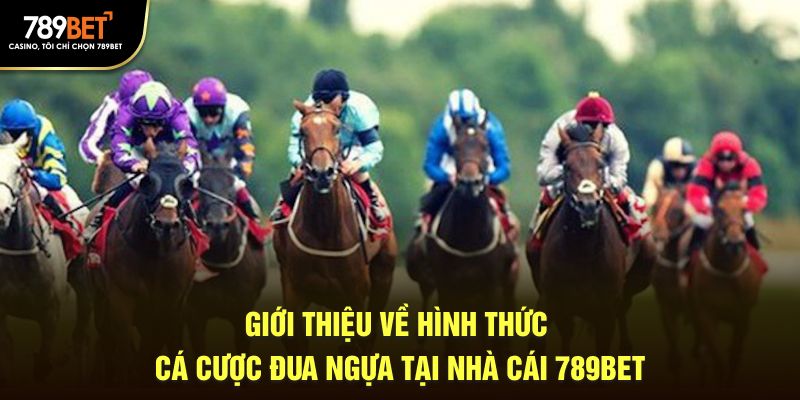 Giới Thiệu Về Hình Thức Cá Cược