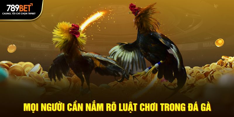 Mọi người cần nắm rõ luật chơi trong đá gà