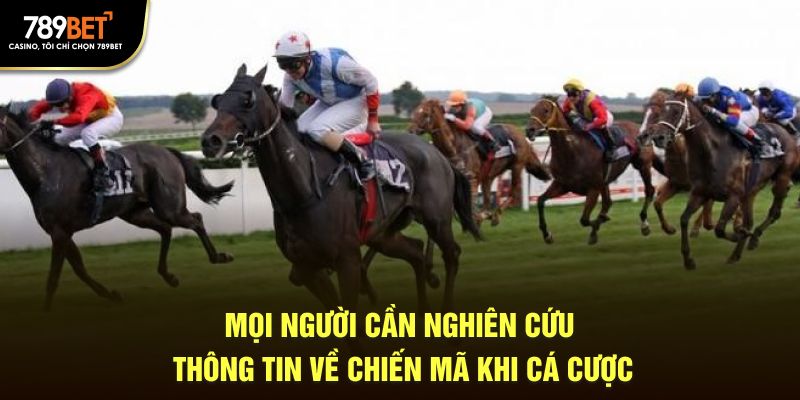 Mọi người cần nghiên cứu thông tin về chiến mã khi cá cược