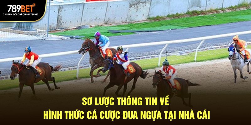 Sơ lược thông tin về hình thức cá cược đua ngựa tại nhà cái