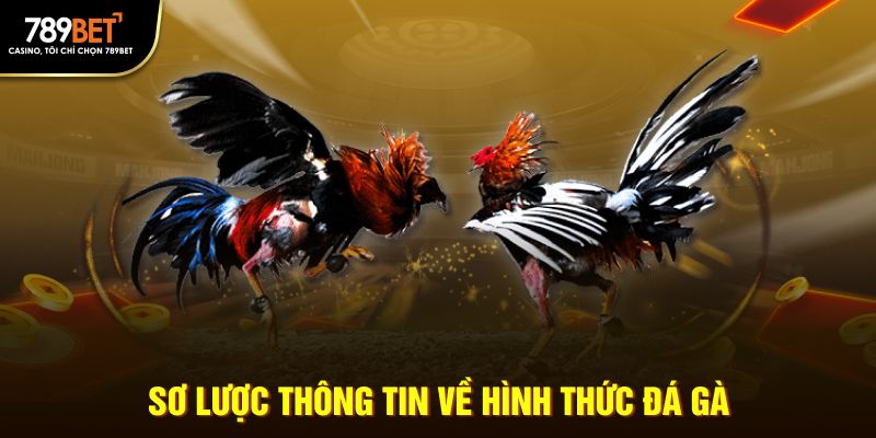 Sơ lược thông tin về hình thức đá gà tại 789Bet